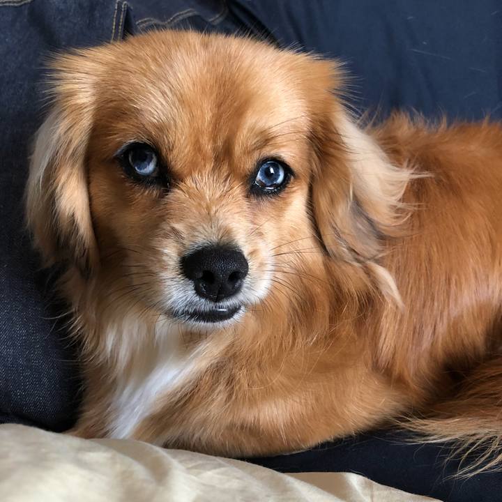 4246ffe5 acab 4a53 affd f24f6ee3b135 1522463797030