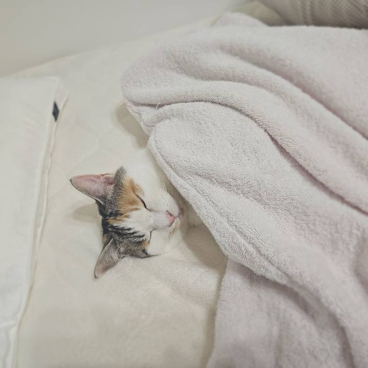 424738ec 94b1 4e76 aa48 0aa0fecf3a3c 1765684702940