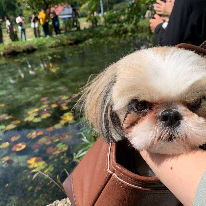 42475b3b 9e33 4393 ac77 564992305fe6 1600753794400