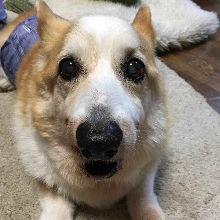 42477a40 d89a 4760 9ab5 9af5db62a5f5 1557234770596