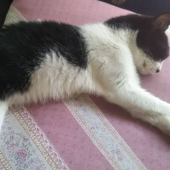 4247954f ff53 4736 a071 4fc08f83b6e8 1627021703009