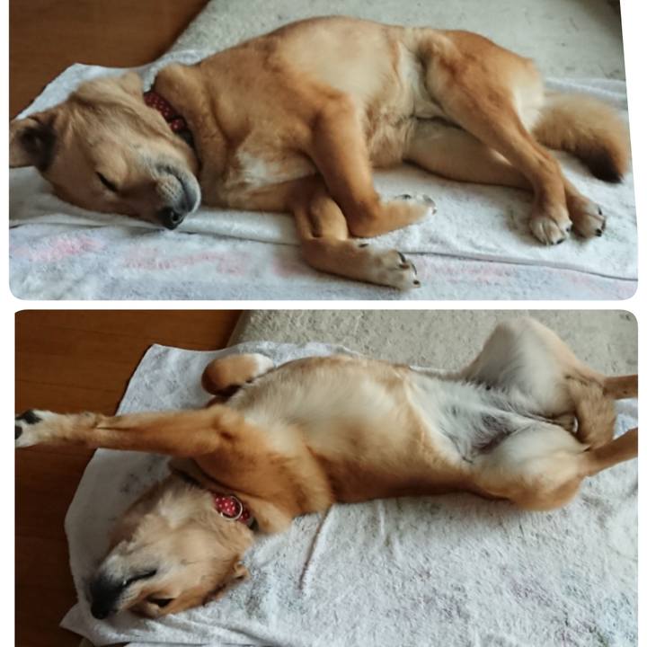 4247be68 8405 4e28 9c1d 896e85b706d1 1563262807876