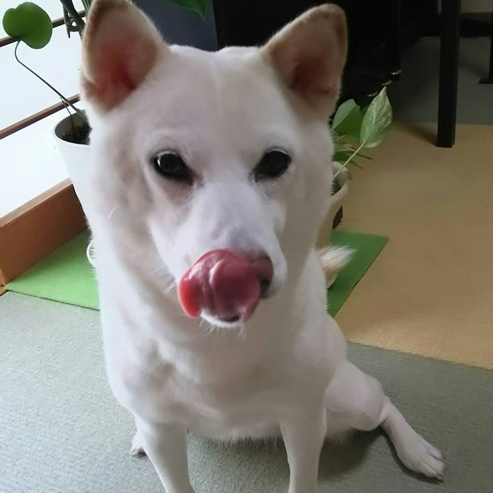 4247d51d 66a0 41e7 ad06 c30447160567 1515979389557