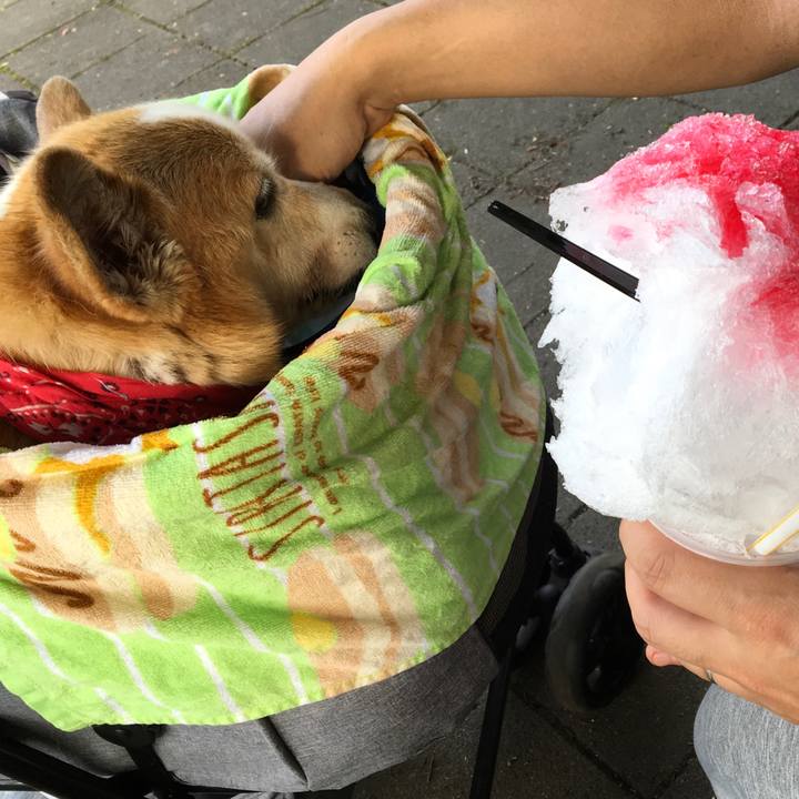 42480da1 8b10 4ee9 9a63 8d8747722460 1631481219885