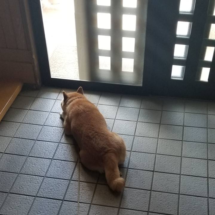 42481247 3e6c 4c24 b982 dffcd3e85f65 1629435240947