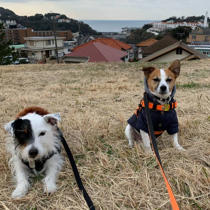 424812bc 83ab 4cdb 8e89 743033d92e43 1579657122413