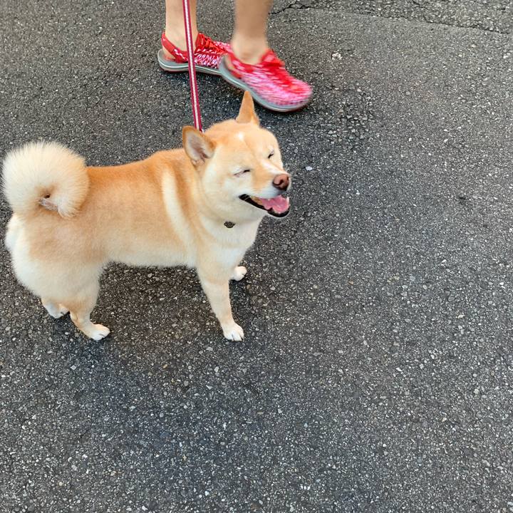 4248178a cce8 442d b1b3 8ad6fb3827da 1628202699466