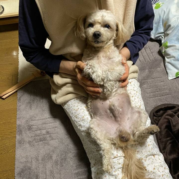 424850bc 1eed 447f 84ba b195536daeeb 1604930093309