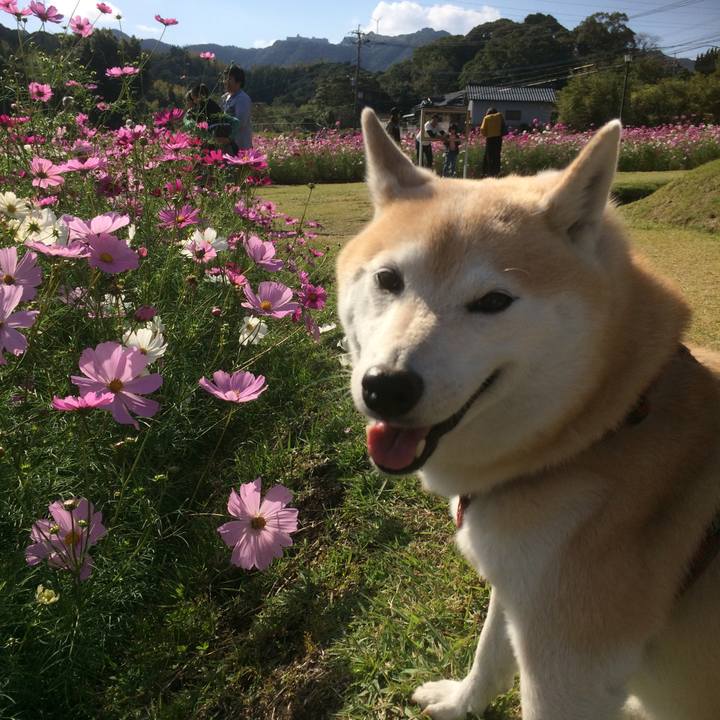 42485f5b 30cb 4581 9127 e7a1a9269e90 1540734261923