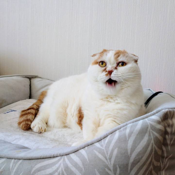 42488f4a c6f1 4278 b0c6 3f358ed4aa09 1767789142693