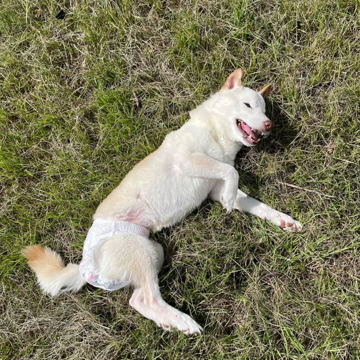 42493747 64ba 480b b74d 5cea2adb3b19 1665460721682