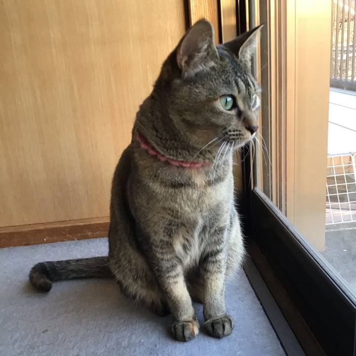 42494916 9c0d 4e52 95fd d94d14790879 1615365071821