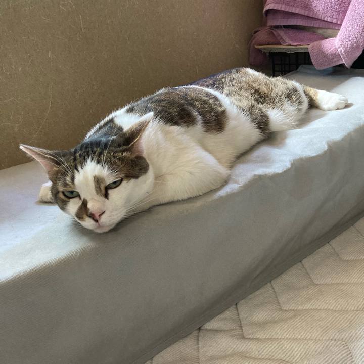 424a23ad c759 4486 981d 271ce363d23f 1628666360016