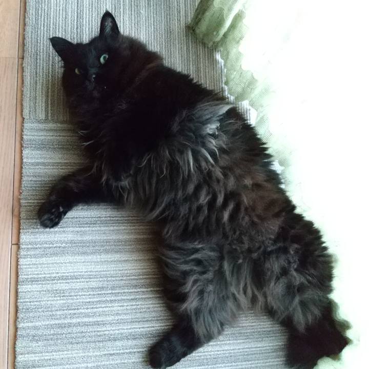 424a359c 8e24 4ac1 977a ba092ae5a621 1588669664033