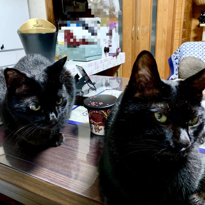 424a4313 49d1 47a9 902c f692a203cc57 1659444270138