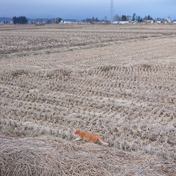 424a506f 22f9 476b b126 530555dec2a7 1576910038237