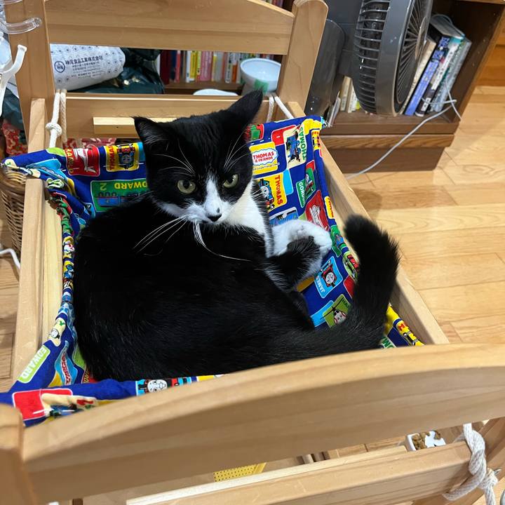 424a6f86 8a93 4314 8509 00f080209882 1725167030436