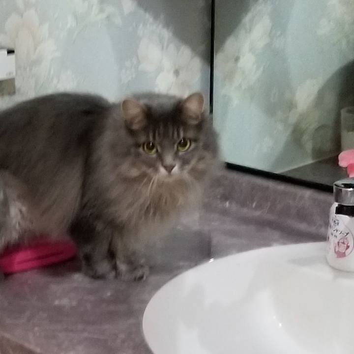 424ab3f3 5676 42f6 973b 2e918b46c98d 1549421997665