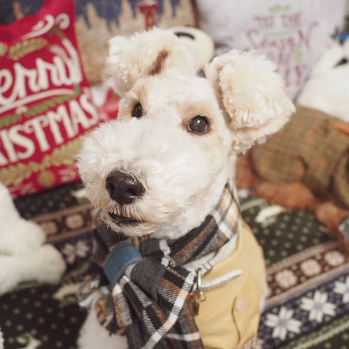 424acda4 1f00 43aa b473 29454aa5c815 1544436841364