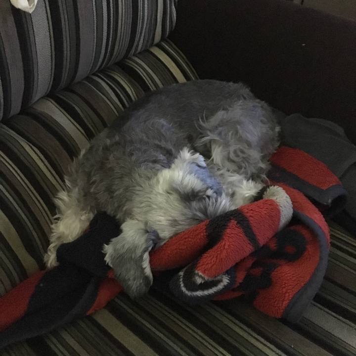 424b0af7 c795 4b46 a920 c7636d01922c 1511672465858