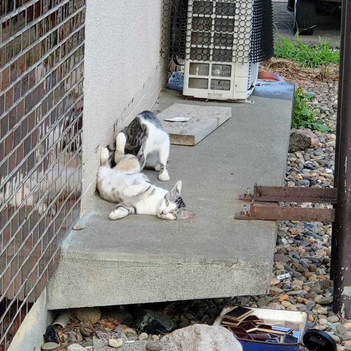 424b2486 1c70 4b95 bc51 05c11534a4d2 1756128452981