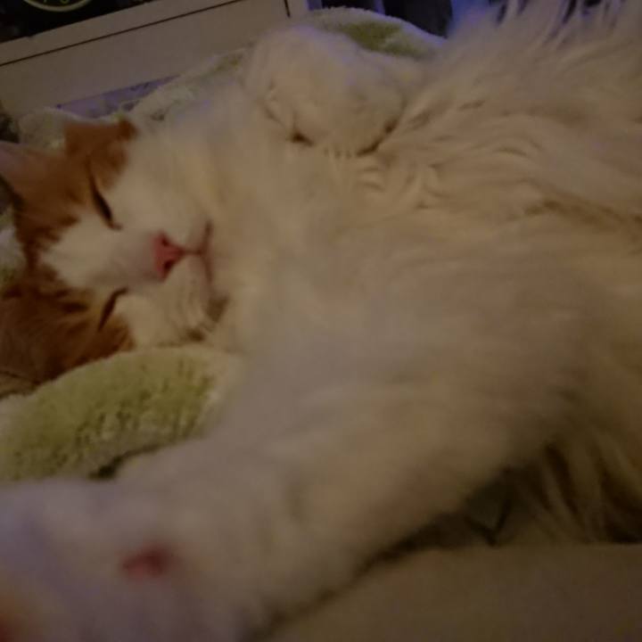 424b792b 87e2 4b5e b73c 3831fc25c8c5 1563027974328