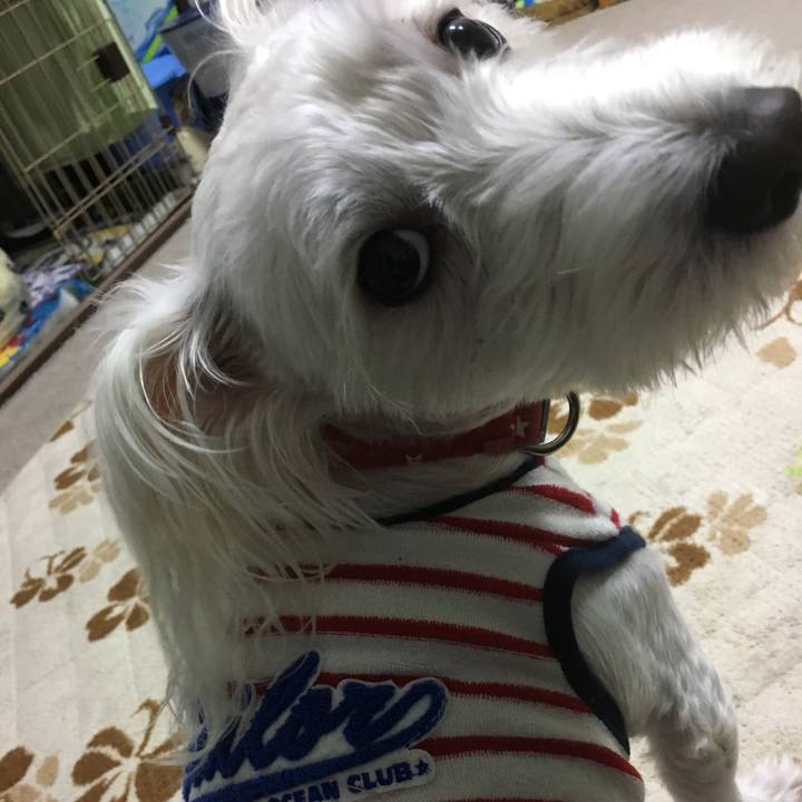 424bb743 9d27 447c 9b3e b9700819054c 1509275949443