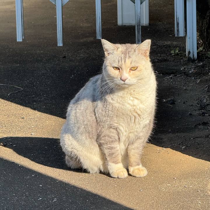 424bd294 29ad 4855 b5b8 dbb8559e3ffe 1765937731739