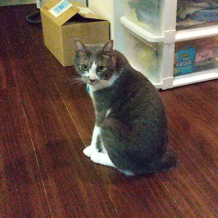 424be940 601c 4a58 9ea6 6f5ab6a2d62e 1634906213732