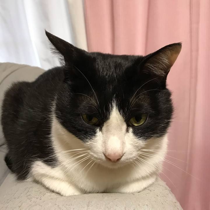 424bf014 6ca6 4324 ba6a e53b7ab62551 1560678945591