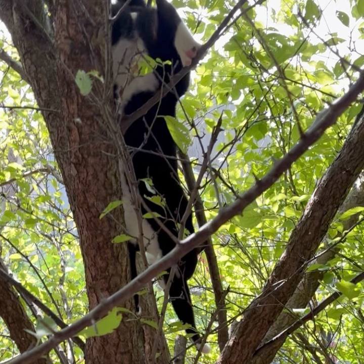 424c36b4 7d29 47c0 9edd 2bf35008417e 1757297005979