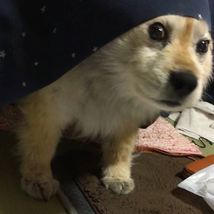 424c49fe 8042 4a0a 9299 db3f9571727e 1659811001978