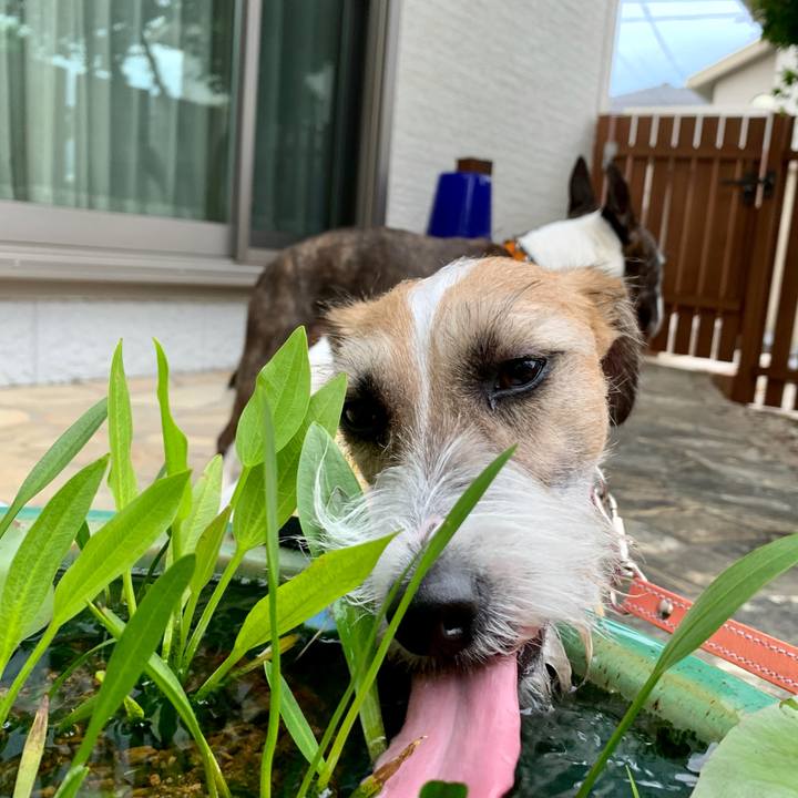 424c525e 05d3 4c0b 85a9 6b2d18c7aa58 1624196737752