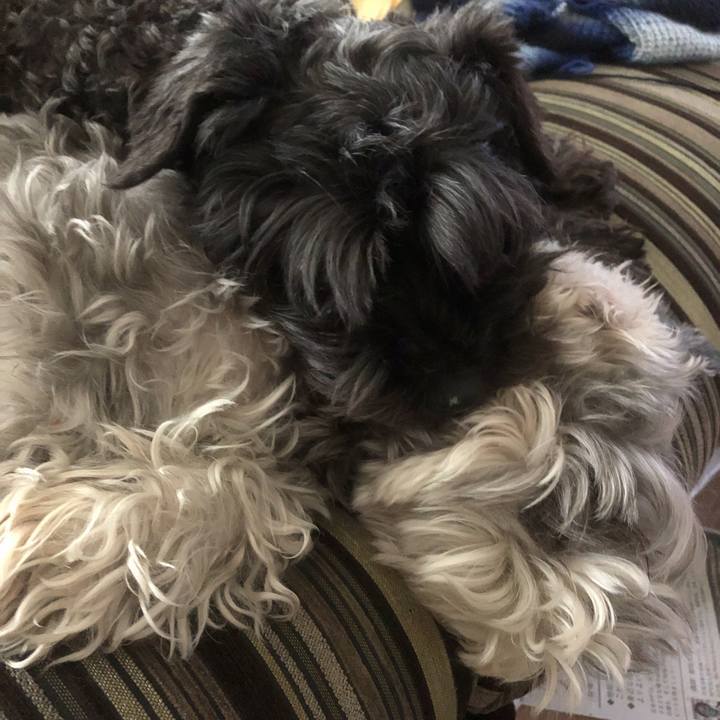 424c7bc5 df63 4aaa 81f0 e00b352faaea 1556683375310