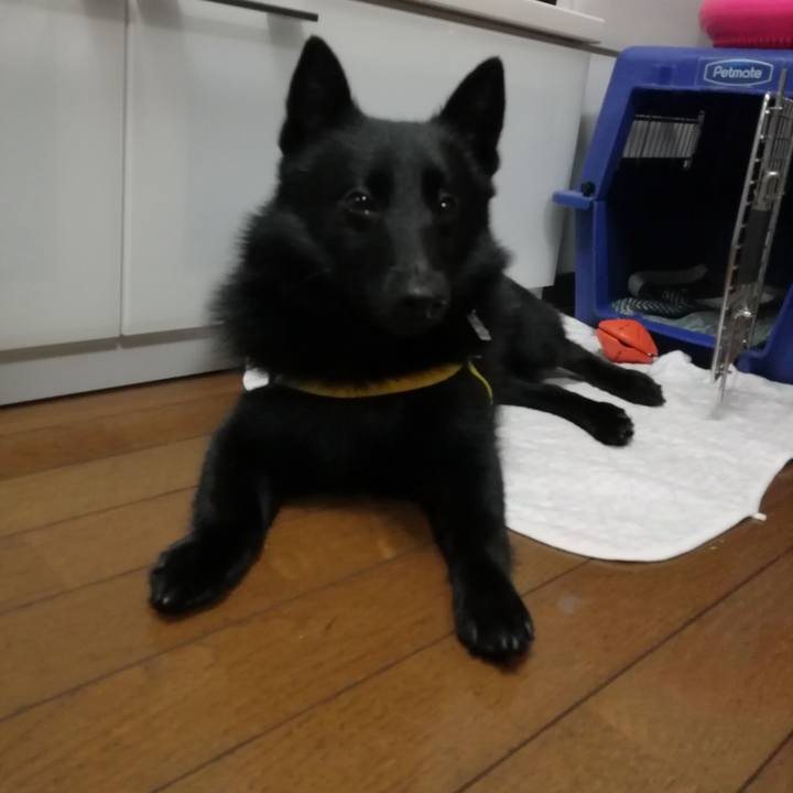 424cc74e 2530 42af ad78 411b03cfece3 1592128766249