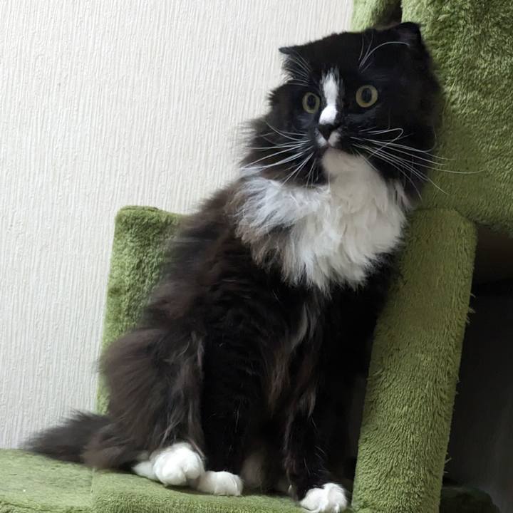 424cdd14 0c87 4d81 9597 8aca6bcb9a96 1708310620170