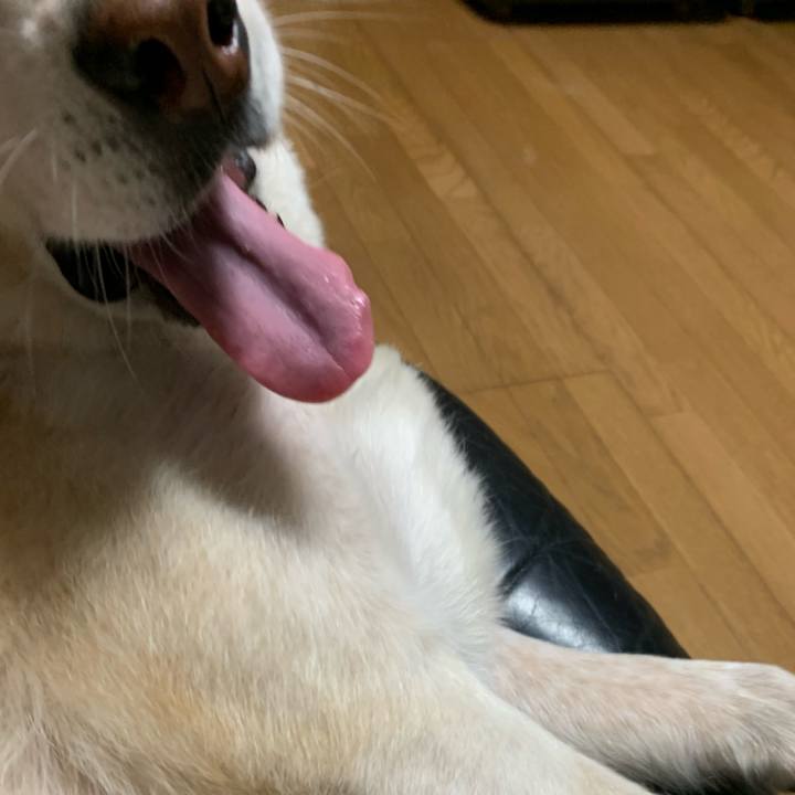 424cdf2c 8d1d 4daf 99d7 5bacba76c838 1606481189622