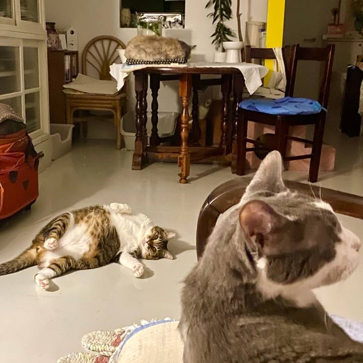 424d001f ff04 4ed1 95a3 db9ebf2d20ab 1756387243698