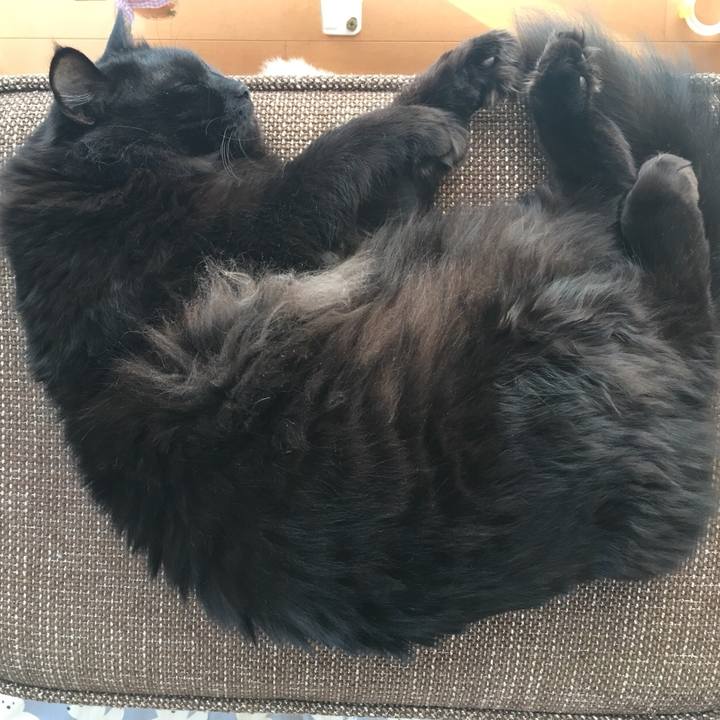 424d788e 6e0e 4315 aae3 cb18aceb00eb 1516581449767