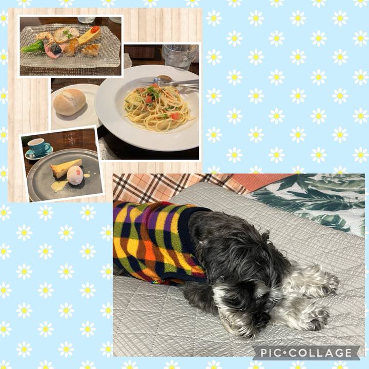 424da338 77e3 469a bbd5 4fbd067cc018 1714265732775