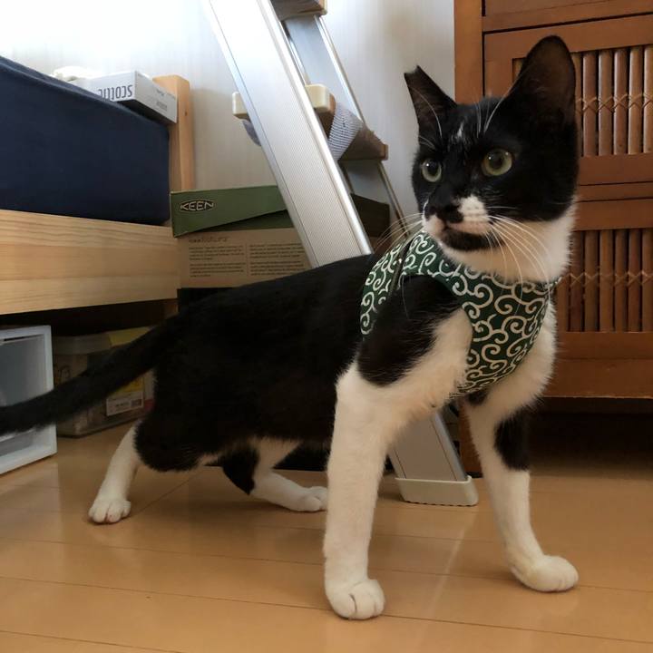 424ddb56 be20 4a05 b5ca 41344417ef34 1531484237615