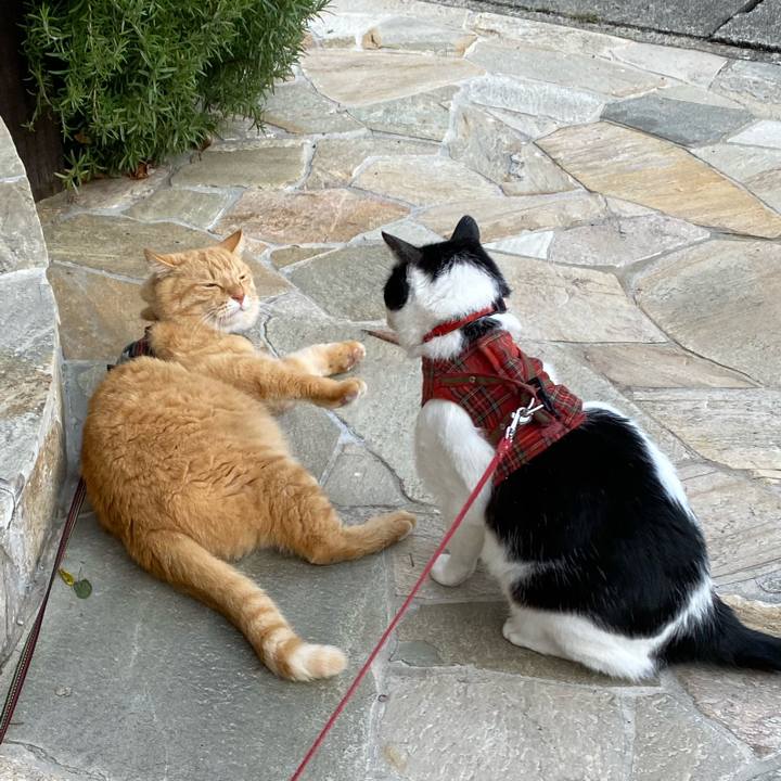 424ddcb9 cd3f 4fdf beab 0ae2e8c5fd0a 1605500804995