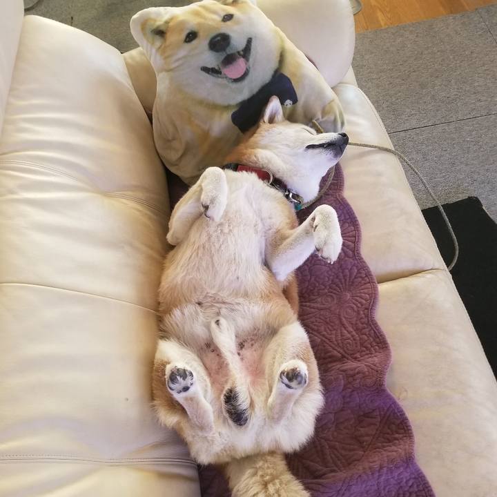 424df57a 5748 4af9 a67d a034236d99b7 1724112853903