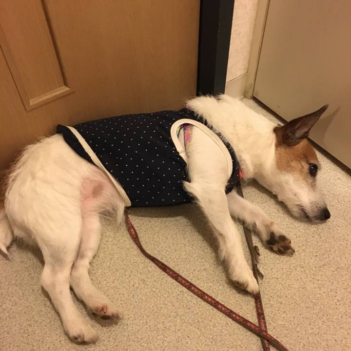 424df76b 12c7 4e44 92cf 3667f176e5fb 1651015589803