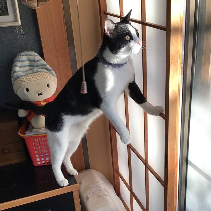 424e172d 804d 40f7 919a 0895f6250b5b 1642115675187