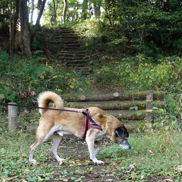 424e1cb5 6b66 44d4 bd77 a498478e407e 1574038855780