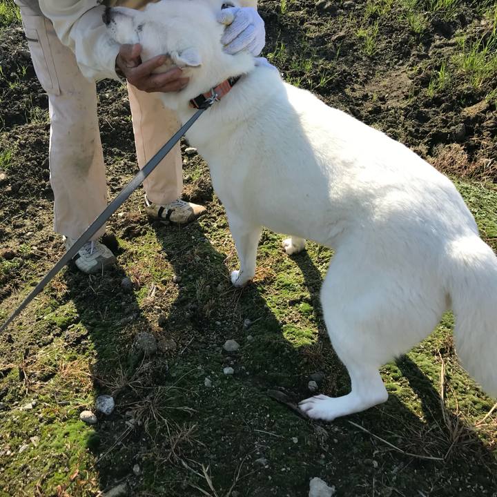 424e35c4 a6b5 48fb a2c3 56fb48071e91 1556928105507