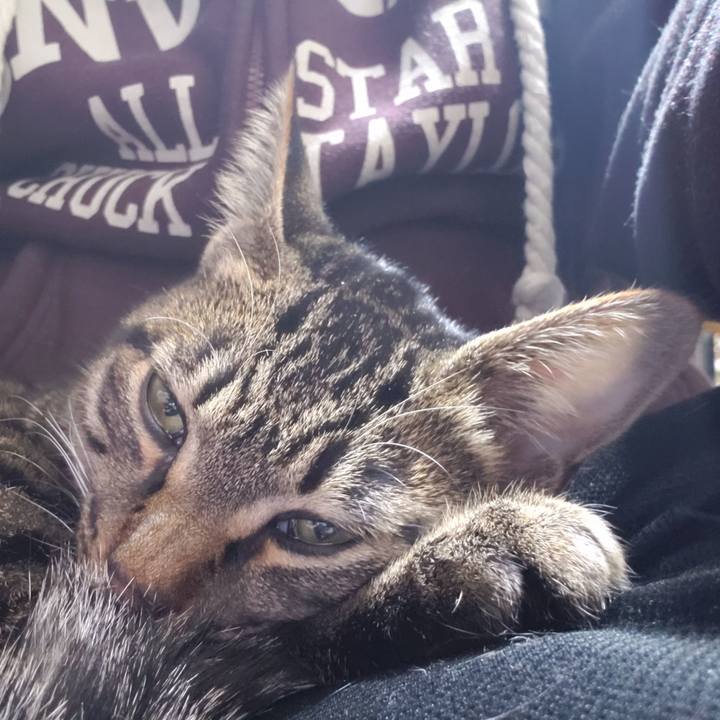 424e40b8 4893 467e 8a93 21f5f1577ec9 1547544746229