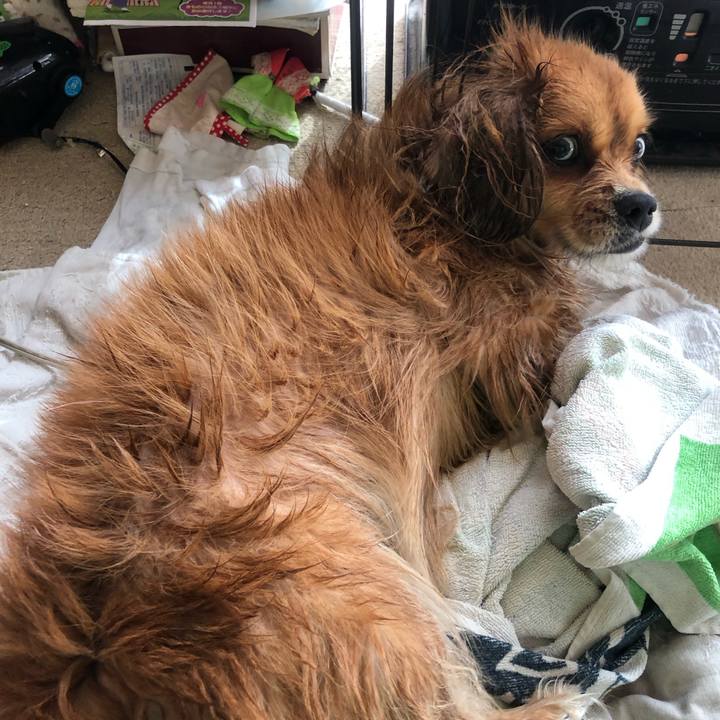 424e5e2d 9bfa 4286 8586 2fe3c4f5fbf0 1544320850021