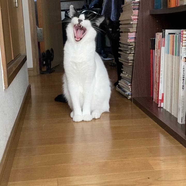 424e8a88 325e 4caa 96dc cfdc216279df 1598600137754